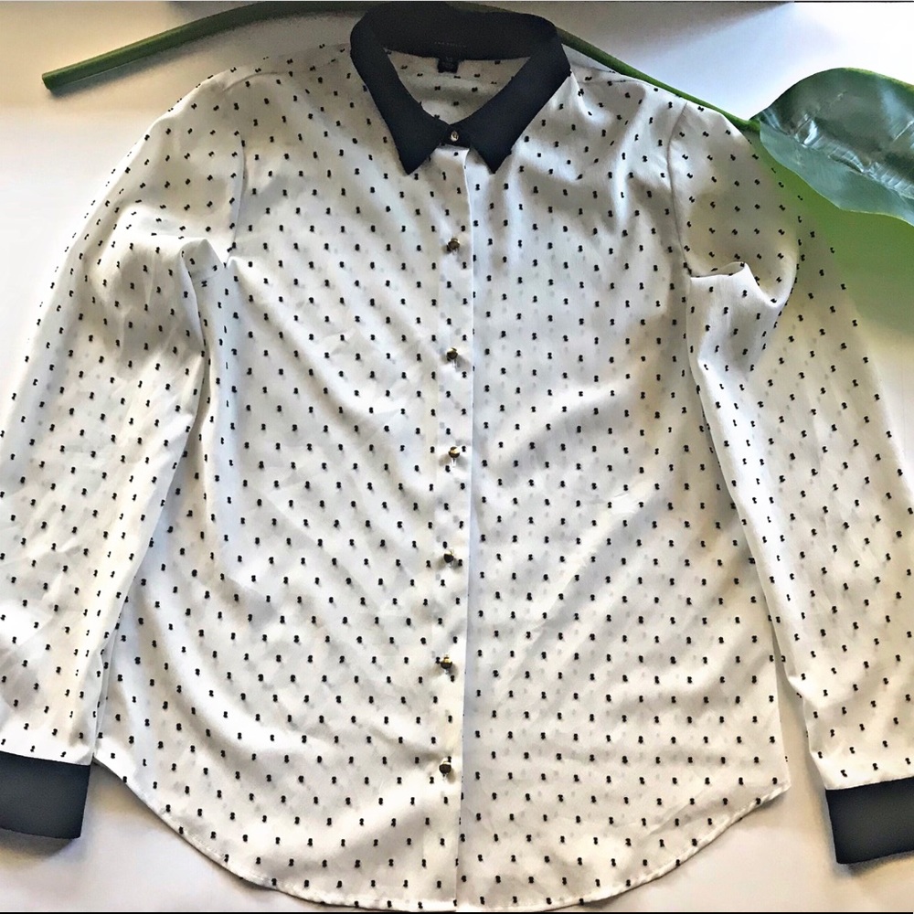 Ann Taylor Button up Shirt
